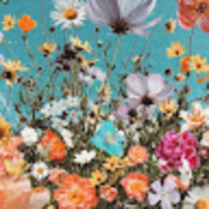 Meet your Posher, Dinneen